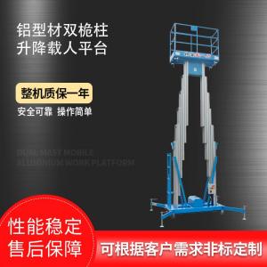 铝型材双桅柱升降载人平台